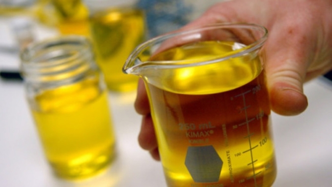 Governo fixa mistura obrigatória em 12% para 81º leilão de biodiesel