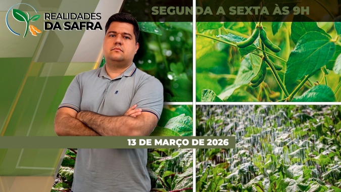 Rio Grande do Sul ainda sente impactos das enchentes de 2024 nos solos do estado