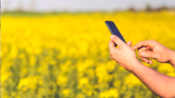 Meta e Baita anunciam startups com soluções para o agronegócio selecionadas para a segunda edição do Campo Digital