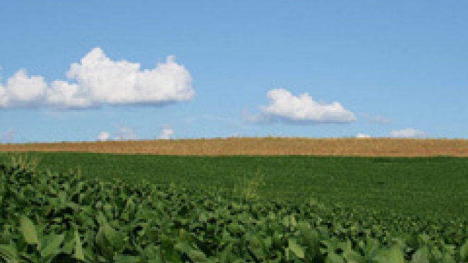 Comissão debate moratória da soja e da carne e consequências para os municípios da Amazônia Legal