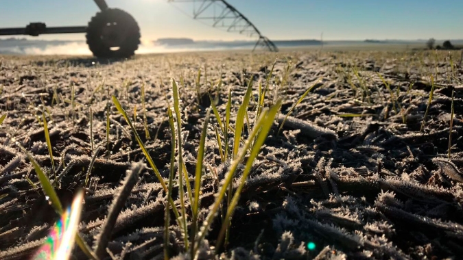 Atenção no Sul: Inmet emite alerta laranja para geada e aponta risco em áreas agrícolas na próxima madrugada