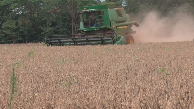 Estiagem no Rio Grande do Sul já reduz capacidade produtiva da soja em 35% e milho cai até 70%
