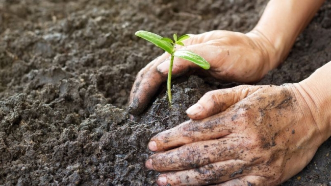 Comissão promove seminário sobre metodologias associadas aos sistemas de plantio direto e agroflorestais