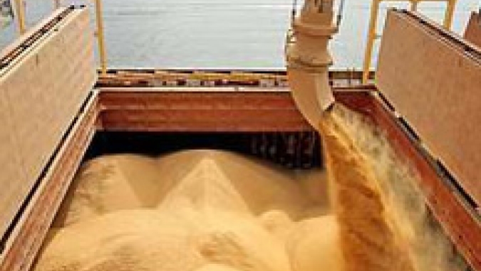 Anec vê avanço na exportação de soja do Brasil em setembro e recorde para farelo