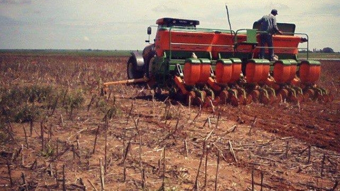 Embrapa:  Vazio sanitário da soja começa em junho
