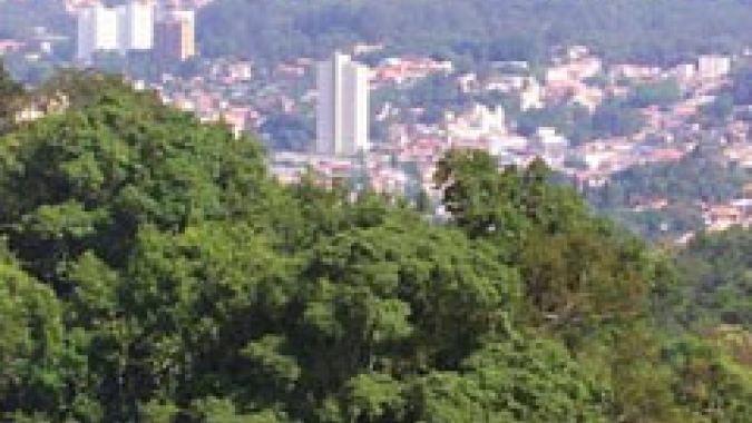 Mundo está à beira de pontos de inflexão ambientais, diz ONU