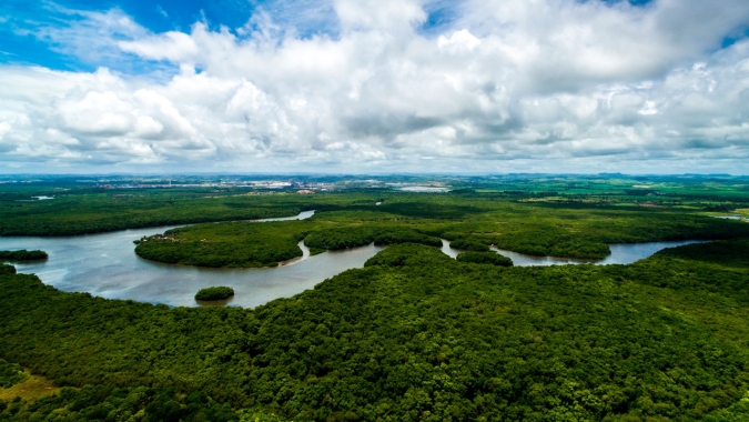 Reuters: Brasil deve propor cúpula sobre Amazônia em 2023 se Lula vencer, diz Amorim