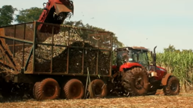 Dezenas de usinas de açúcar encerram moagem mais cedo em grande produtor da Índia