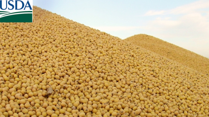 USDA: Embarques semanais de soja e milho dos EUA ficam acima das expectativas
