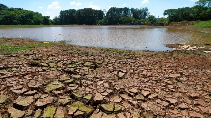 Safra de grãos será 20% menor em Santa Catarina, estima FAESC