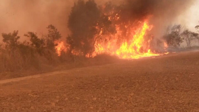 Medida provisória libera R$ 60,46 mi para combate a incêndios e desmatamento