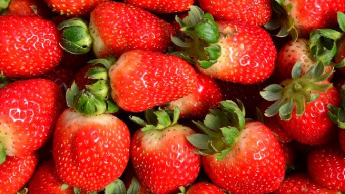 Clima favorece e impulsiona produção de morango no RS