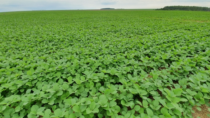 PIAUÍ – Pesquisa de safra colhe informações sobre a intenção de plantio dos produtores