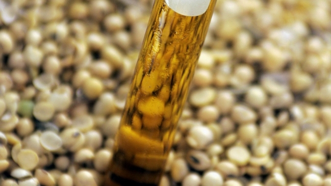 Produção do biodiesel representou 2% de todo PIB da agroindústria nacional e gerou quase 20 mil empregos diretos em 2021 