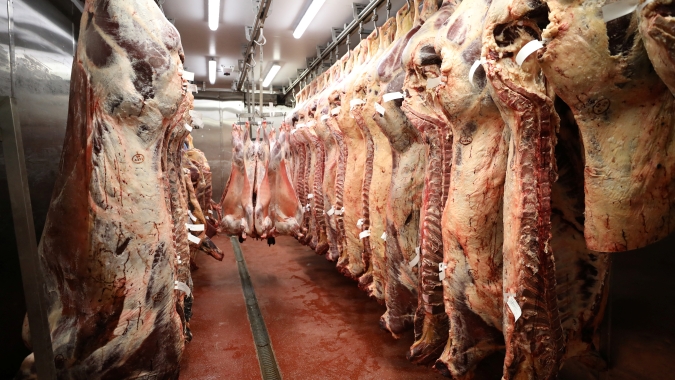 Abertura dos EUA para carne paraguaia não deve aliviar escassez, dizem importadores