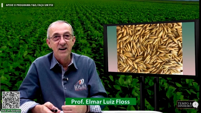 Com impasses para conseguir fertilizantes e cenário se agravando, Elmar Floss explica quais medidas o produtor pode tomar para driblar impactos