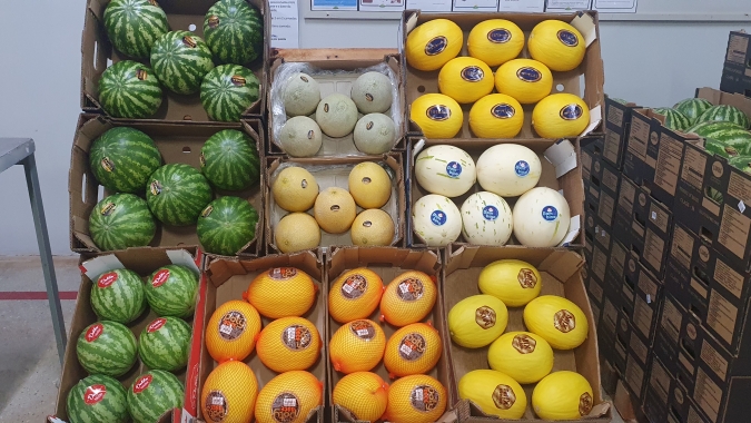 Expofruit inicia contagem regressiva: menos de 30 dias para celebrar a força da fruticultura