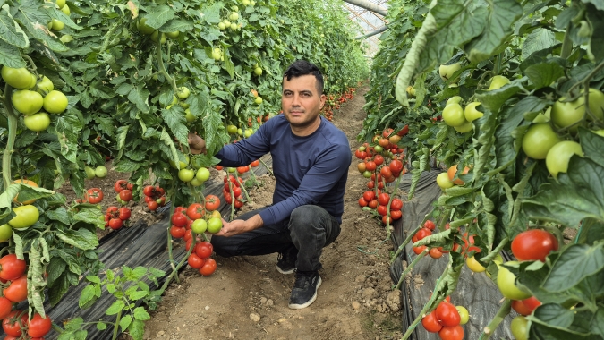 Turquia: o país que está em dois continentes tem várias semelhanças com o Brasil no cultivo de tomates