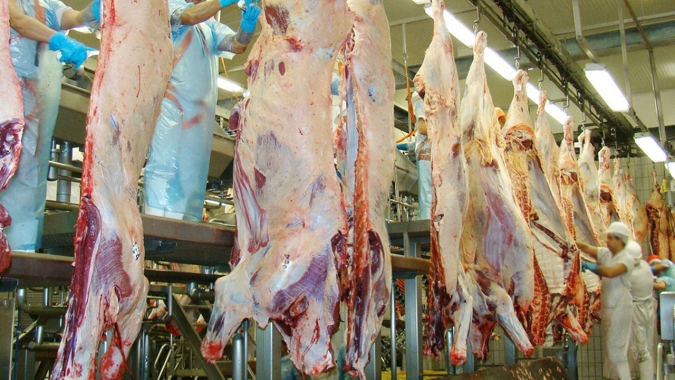 Abate precoce de bovinos aumenta 800% em 14 anos em MT