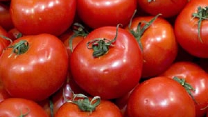 Tomate: Maturação controla oferta nos atacados e preço sobe
