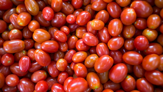Tomate/Cepea: Ano se inicia com rentabilidade positiva