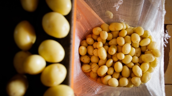 Batata: Depois de quatro semanas em queda, preço sobe