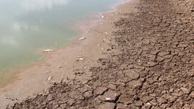 Cooperativas agropecuárias gaúchas cobram medidas emergenciais para atingidos pela estiagem