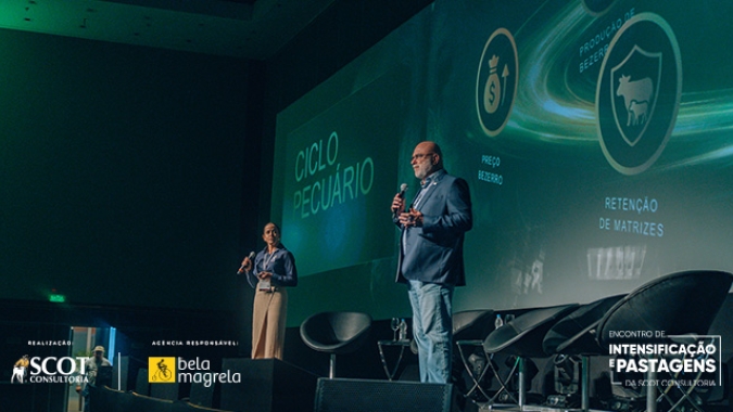 Intensificação e pastagens: o encontro que conecta pecuária, agricultura e mercado