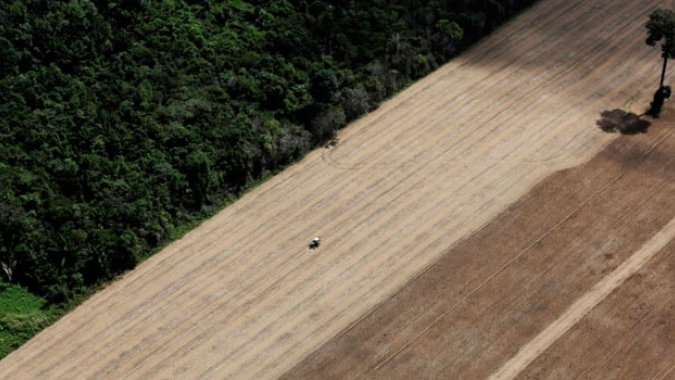Proprietários rurais que quiserem acessar o Programa de Regularização Ambiental devem fazer o CAR até dia 31/12