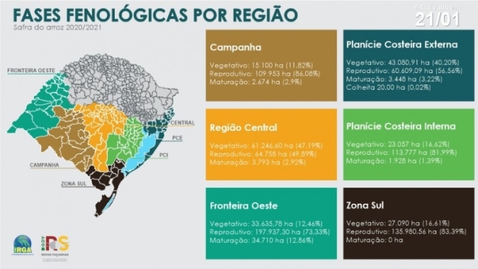 Atualização dos estádios fenológicos desta safra de arroz
