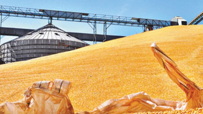 USDA reporta venda de 177,5 mil t de milho para o Japão