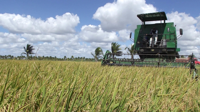 Fomento à irrigação será tema da Abertura da Colheita do Arroz