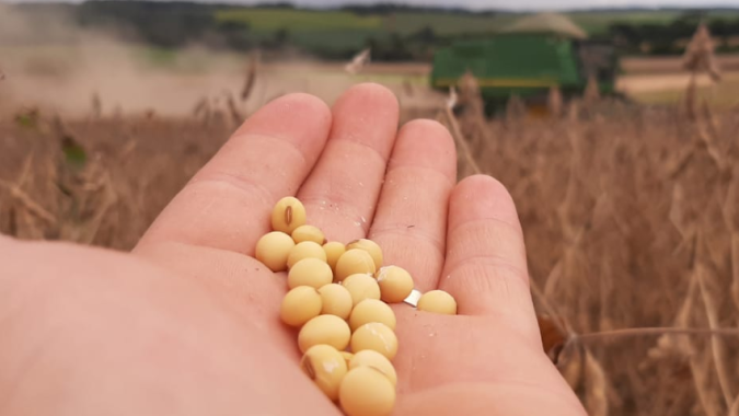 DATAGRO mostra avanço na colheita de soja e milho do Brasil, apesar de limitação com chuvas
