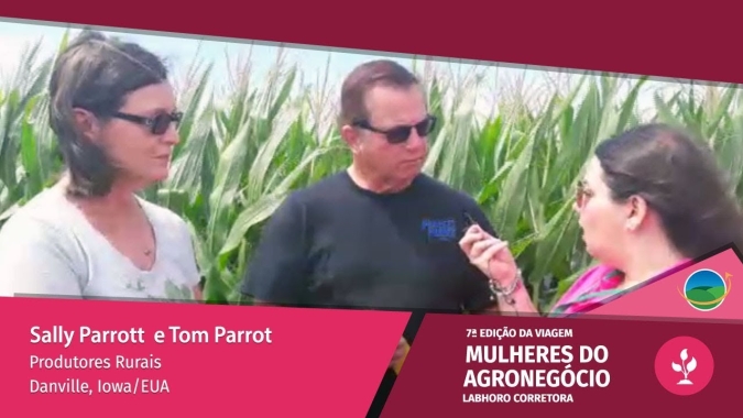 A sudeste de Iowa, potencial produtivo do milho já é 25% menor e da soja, 20% devido ao clima adverso