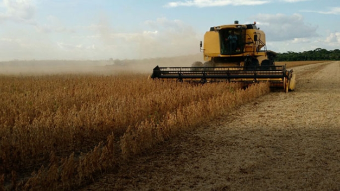 Cooperativismo pode aumentar eficiência da agricultura familiar