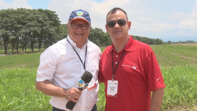 Produtor brasileiro caminha para aumentar média de produtividade nacional da soja