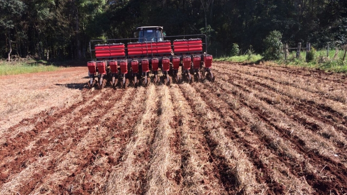 Plantio do milho vai à 55% na Argentina e lavouras recuperam suas condições após chuvas dos últimos dias