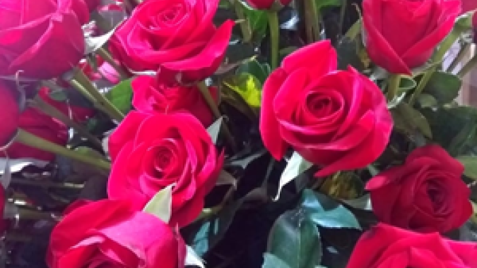 Produtores de Holambra aderem ao Tratoraço; SP representa 70% da cadeia produtiva de flores