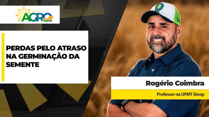 Atraso na emergência da soja, por dia, custa de 10 a 12 scs/ha, alerta especialista no início da safra 26/27