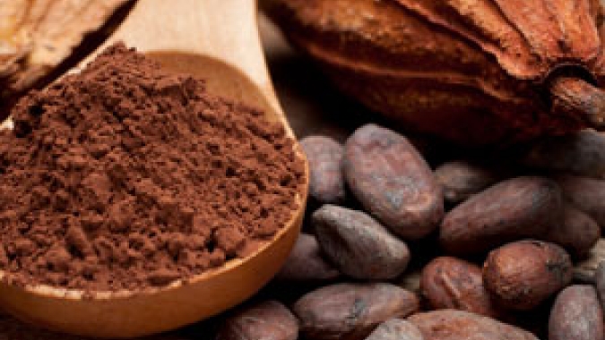Produtores de cacau, café e guaraná do projeto Agro.BR realizam primeiras exportações