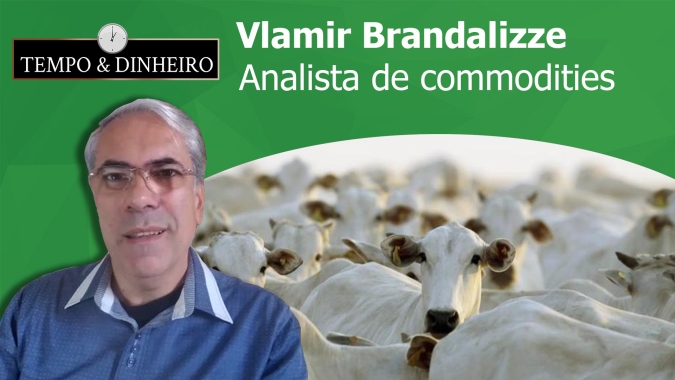 Sérgio Braga: Boi , suíno e frango encerram semana com preços recordes