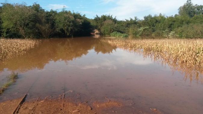 Rios da América do Sul registram baixas recordes e impacto da seca no Brasil se espalha
