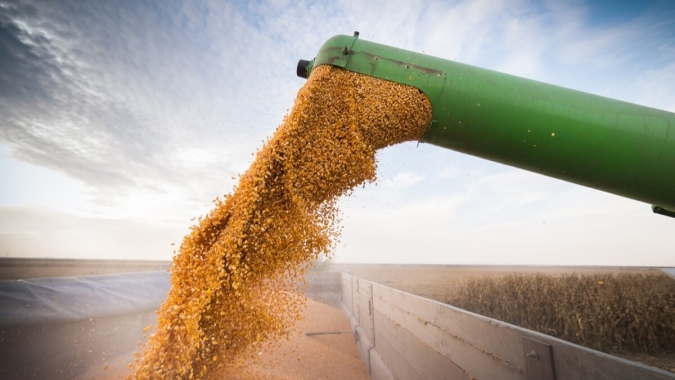 AgRural: Com tempo frio e úmido, colheita da safrinha de milho atinge 22% no Centro-Sul