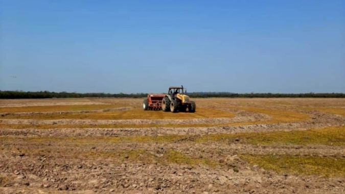 Irga projeta semeadura em 969.192 ha na safra 2020/2021