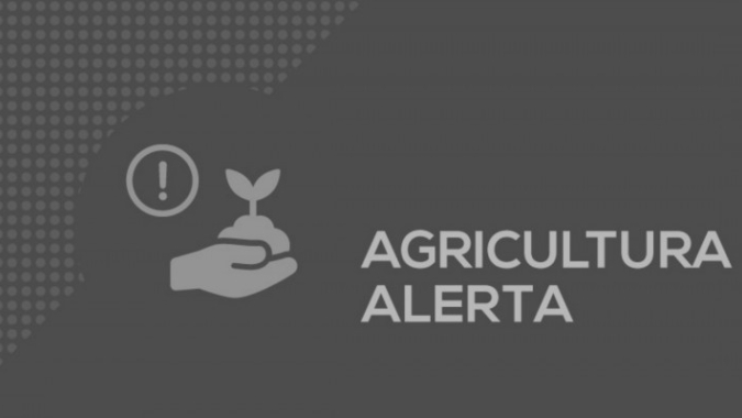 Secretaria da Agricultura do RS faz alerta de golpe para prefeituras e produtores rurais