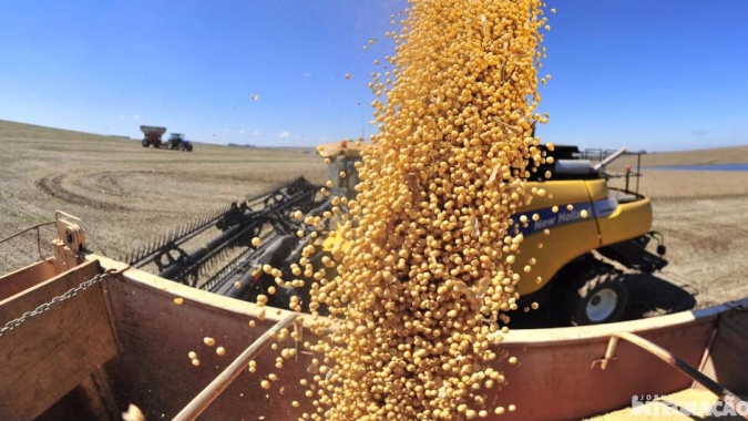 Plantio de soja avança 29,6% na Argentina