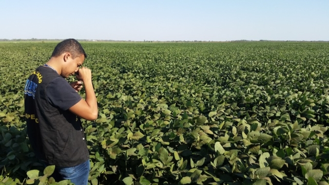 Agroindústrias crescem no Tocantins e potencializam produção e comercialização de produtos de origem animal