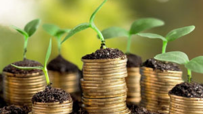 Comissão de Agricultura aprova mudança no Proagro para proteger pequenos produtores