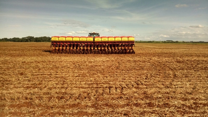 Famasul indica início do plantio da 2ª safra de milho no Mato Grosso do Sul