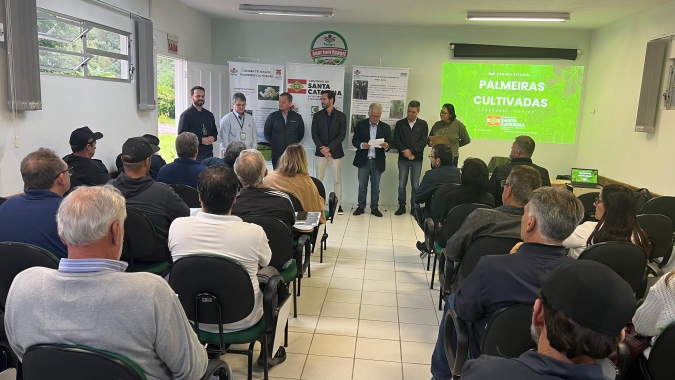 Secretaria de Estado da Agricultura e Pecuária estimula expansão do setor com lançamento da Câmara Setorial das Palmeiras Cultivadas